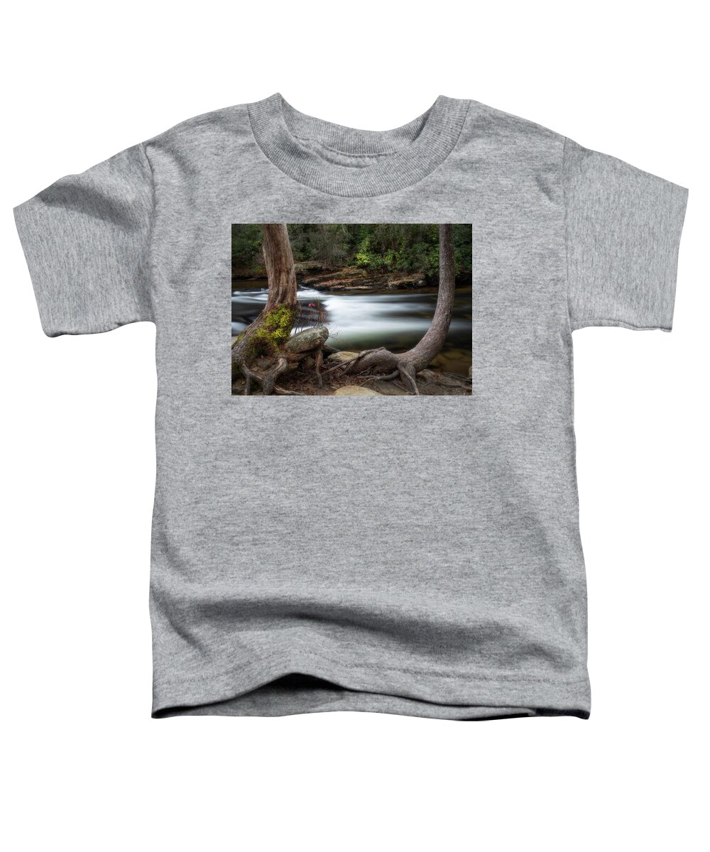 Dupont State Forest Toddler T-Shirt featuring the photograph Dupont State Forest Little River by Donnie Whitaker