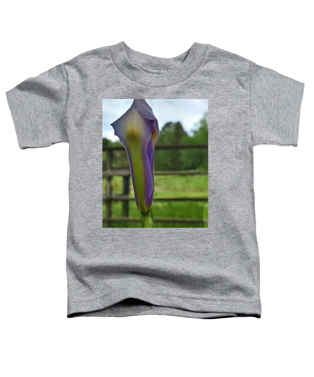Iris Bud Toddler T-Shirt featuring the digital art Dutch Iris Birthday by Pamela Smale Williams