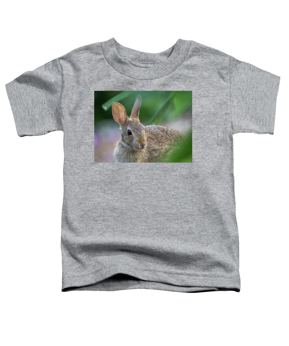 Wildlife Toddler T-Shirt featuring the photograph Eastern Cottontail Rabbit by Lara Morrison
