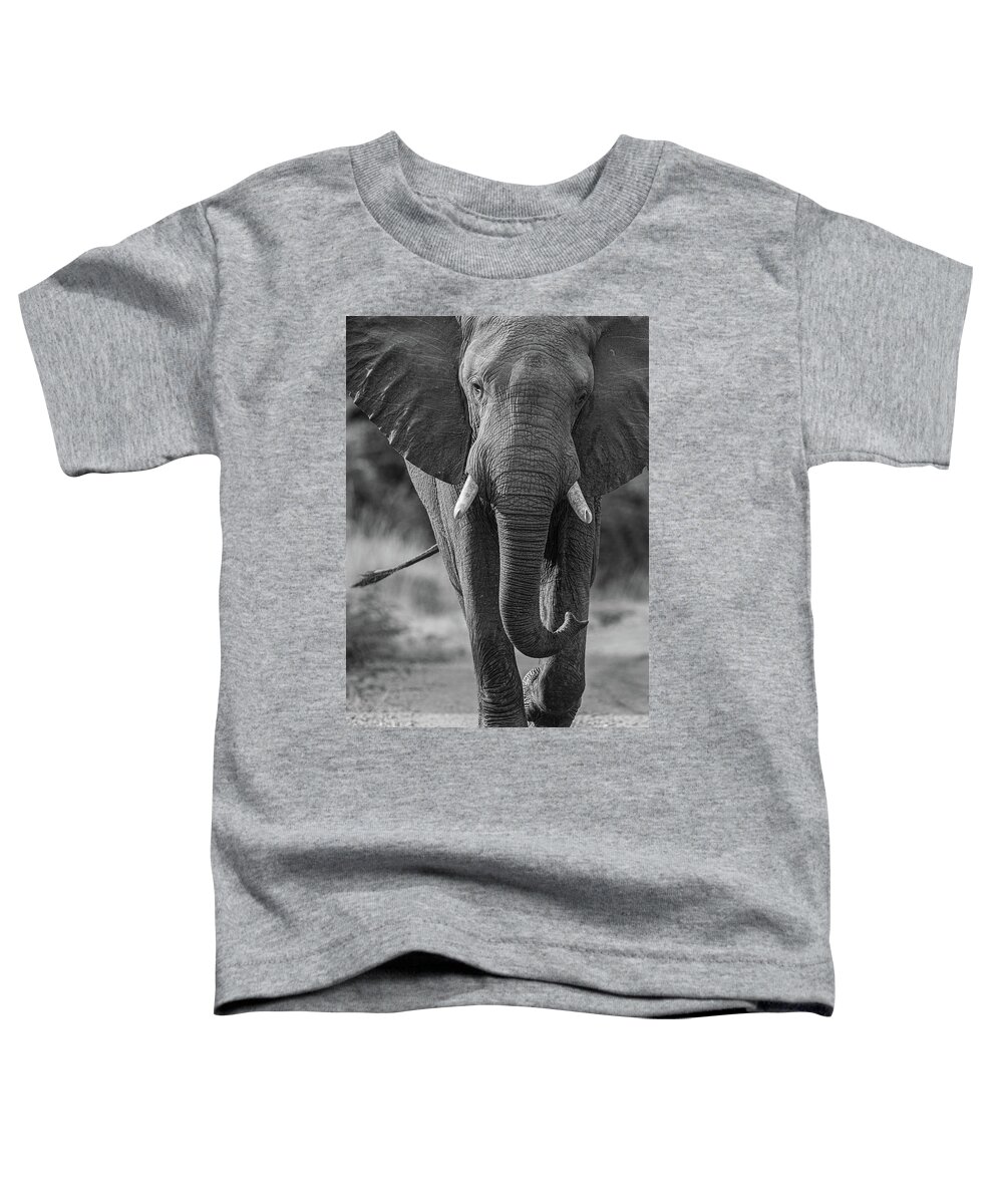 Africa Toddler T-Shirt featuring the photograph Elephant in black and white by Johan Elzenga