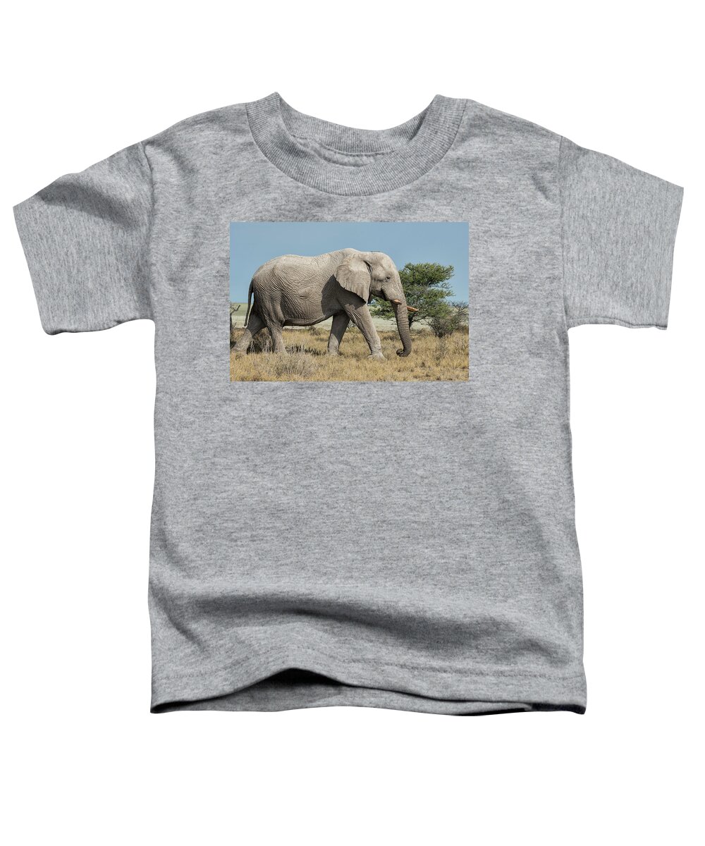 African Elephants Toddler T-Shirt featuring the photograph Elephant Walking with a Stick on Its Head, No. 1 by Belinda Greb