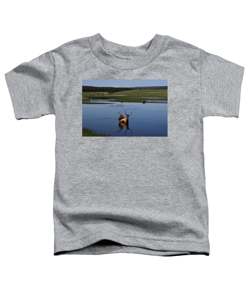 Elk Toddler T-Shirt featuring the photograph Elk and Bison at the lake. by Yvonne M Smith