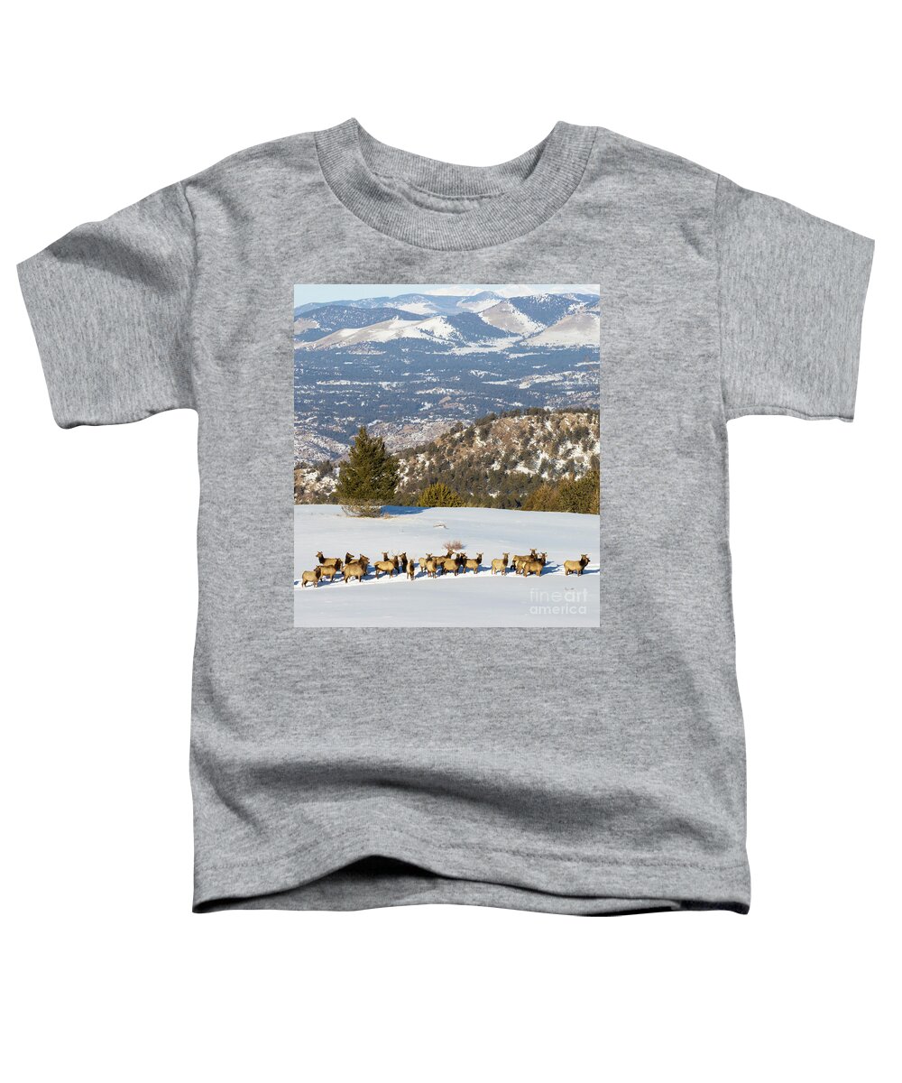 Elk Toddler T-Shirt featuring the photograph Elk Herd on Snowy Mountain by Steven Krull