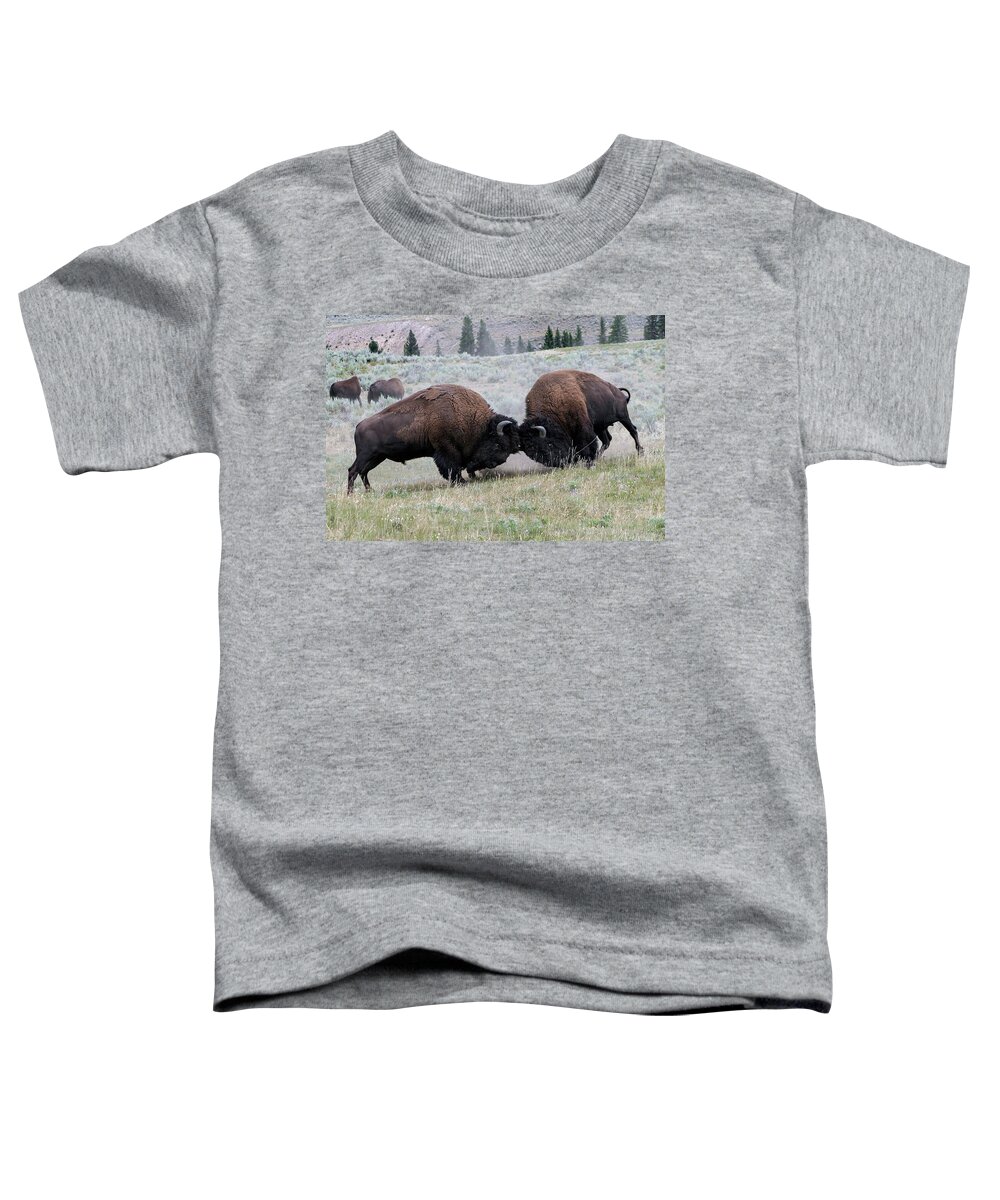 Bison Toddler T-Shirt featuring the photograph Empress the girls by Ronnie And Frances Howard