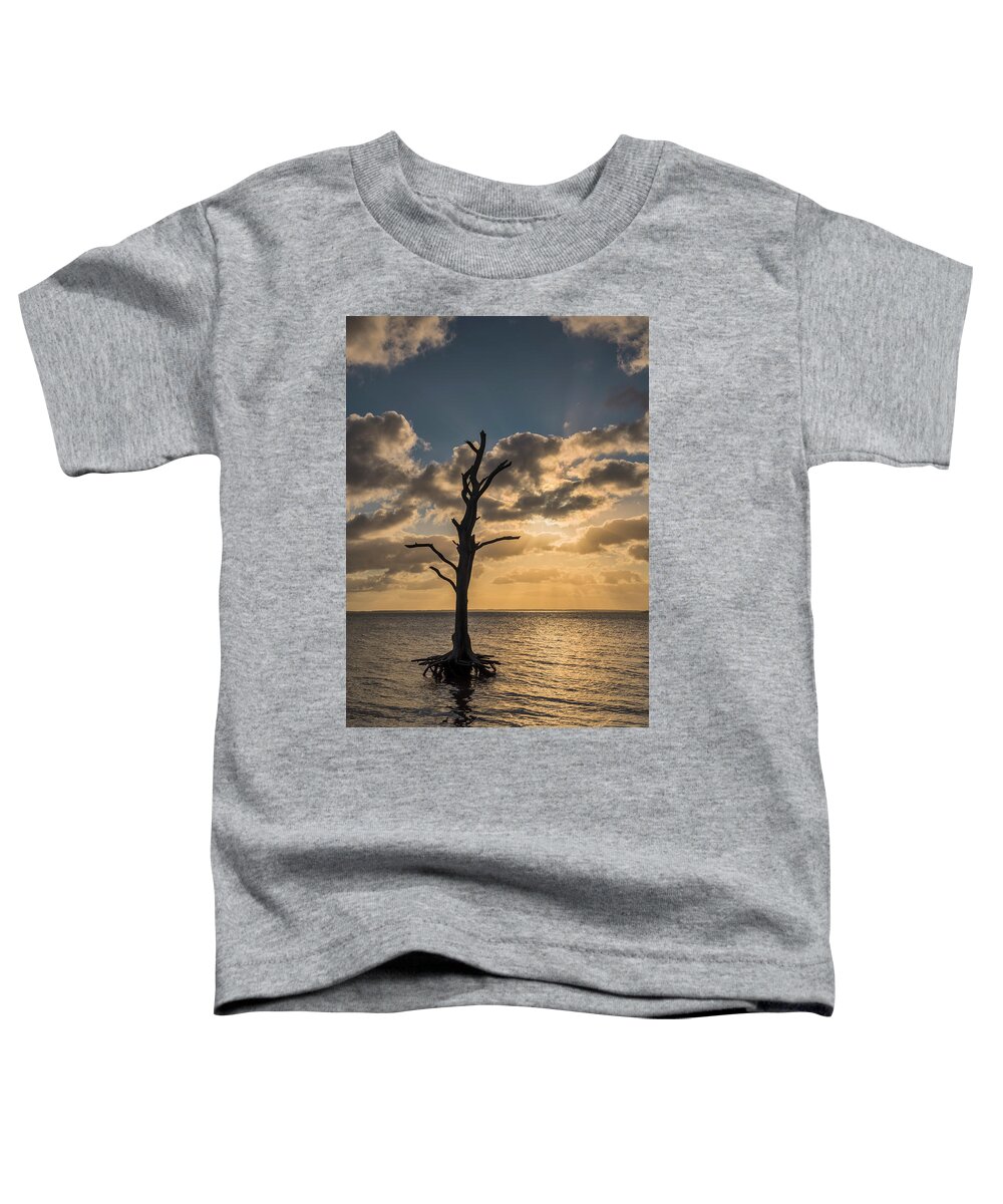 Maryland Toddler T-Shirt featuring the photograph Evening At Assateague by Robert Fawcett