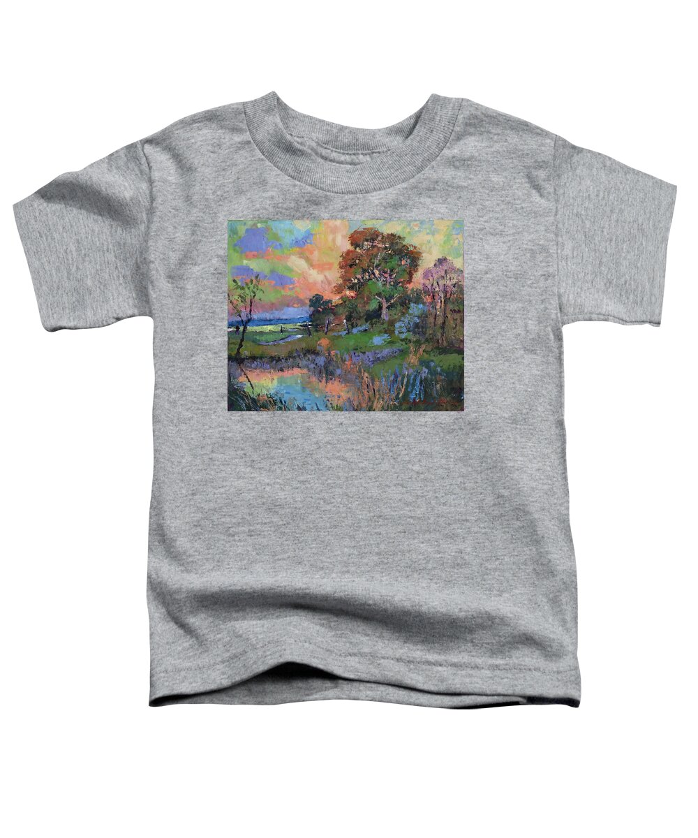 Pastoral Toddler T-Shirt featuring the painting Evening Sky California Valley by David Lloyd Glover