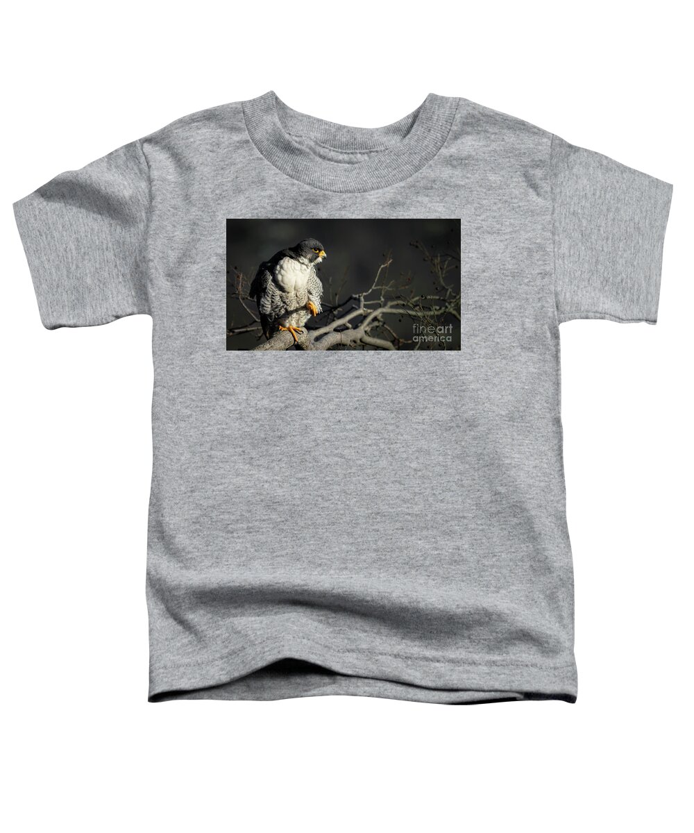Falcon Toddler T-Shirt featuring the photograph Eye of Steel by Alyssa Tumale