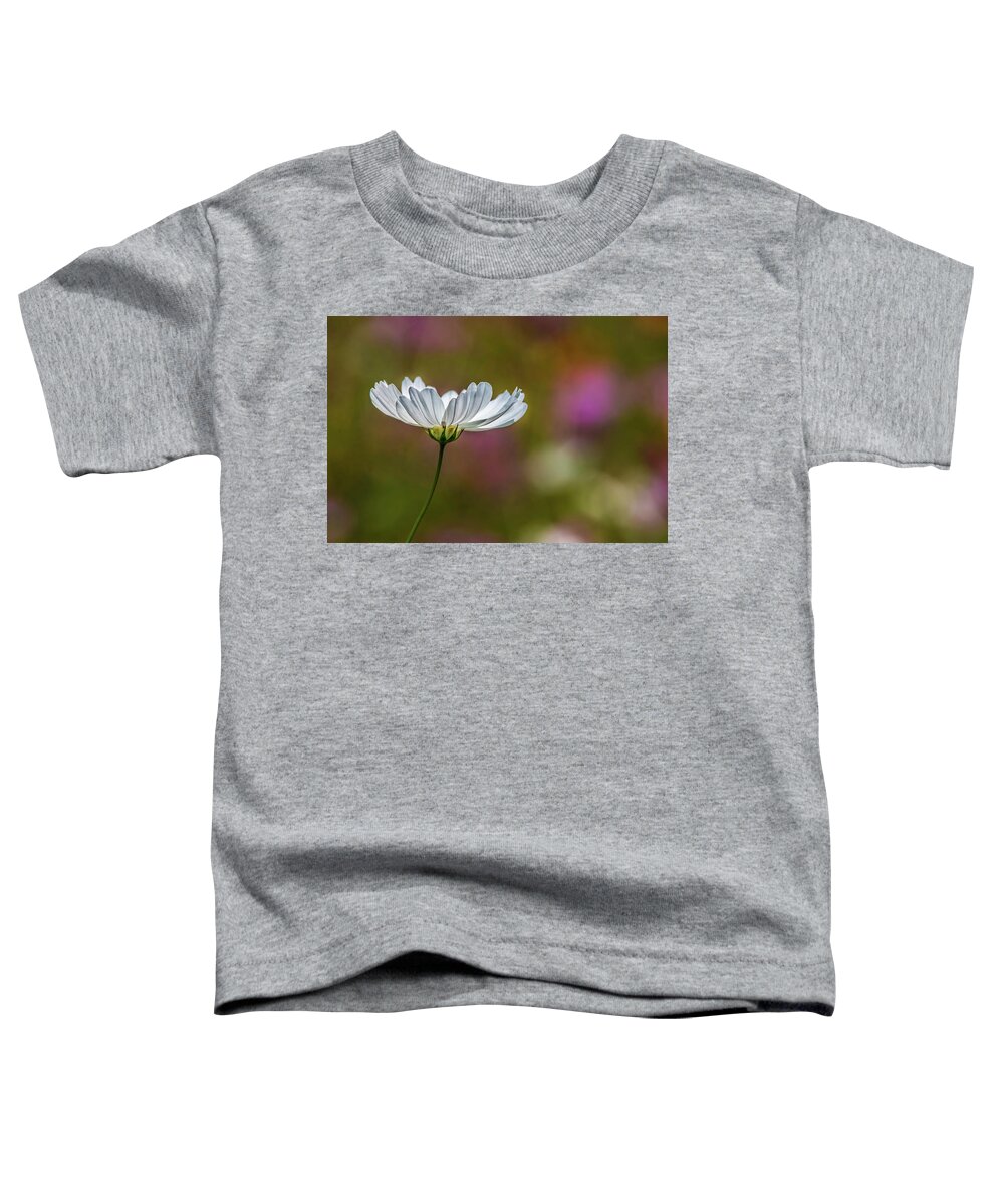 Wildflower Toddler T-Shirt featuring the photograph Field of Wildflowers by Skip Tribby