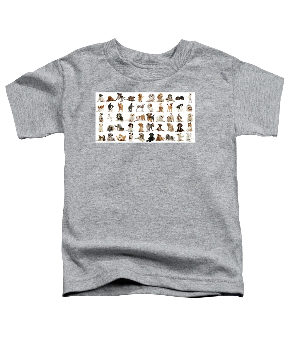 Fifty Toddler T-Shirt featuring the photograph Fifty Shades of Stray by Warren Photographic