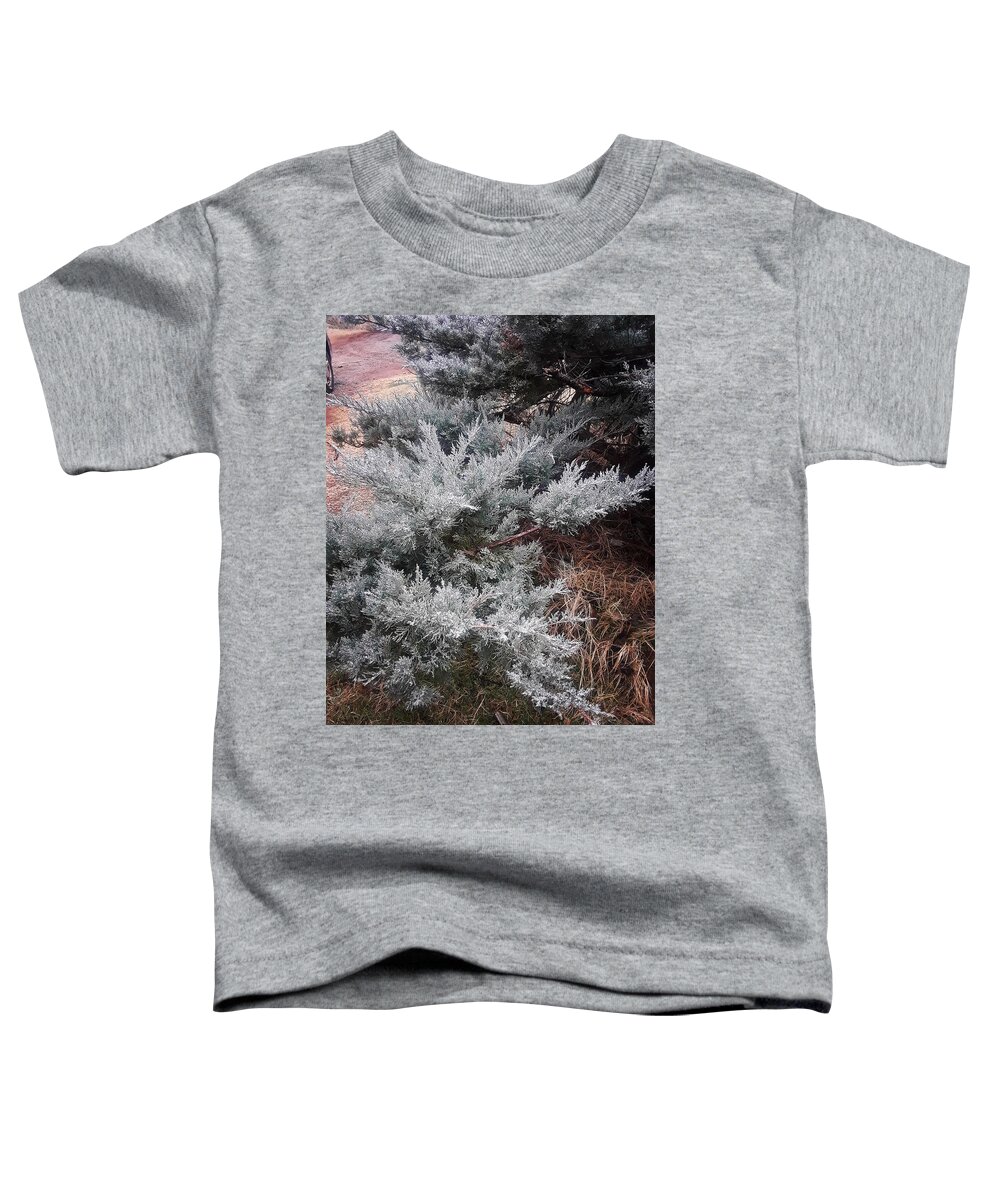 Scenery Toddler T-Shirt featuring the photograph First Frost by Ariana Torralba