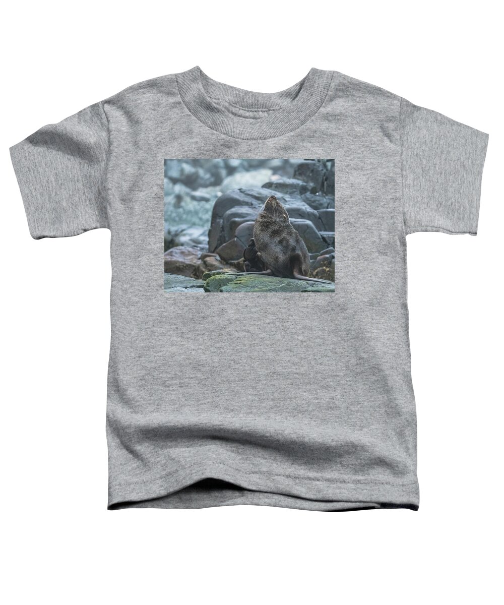 03feb20 Toddler T-Shirt featuring the photograph First Itch of the Day in Antarctica by Jeff at JSJ Photography