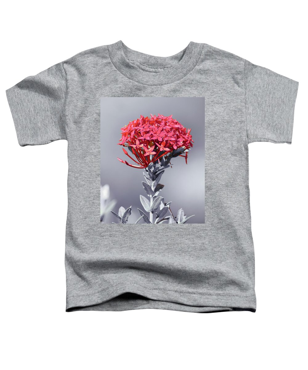 Ixora Coccinea Is A Species Of Flowering Plant In The Family Rubiaceae Toddler T-Shirt featuring the photograph Flame of the Woods 1 by Gian Smith