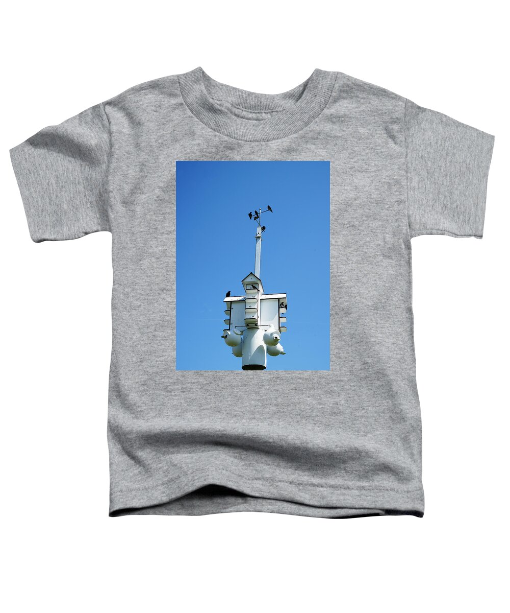 Richard Reeve Toddler T-Shirt featuring the photograph Floating Birdhouse by Richard Reeve