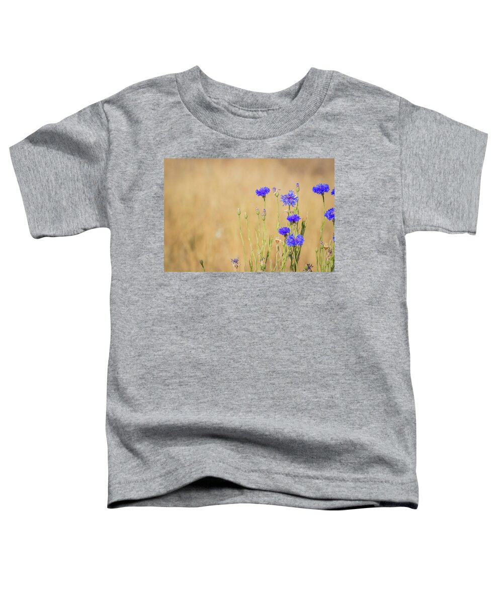 Flowers Blue Flowers Blossoms Bouquet Bachelor Buttons Wildflowers Nature Floral Bunch Of Flowers Plants Fragrance Blooms Flowering Blossoming Flourishes Toddler T-Shirt featuring the photograph Florescence by Laura Putman
