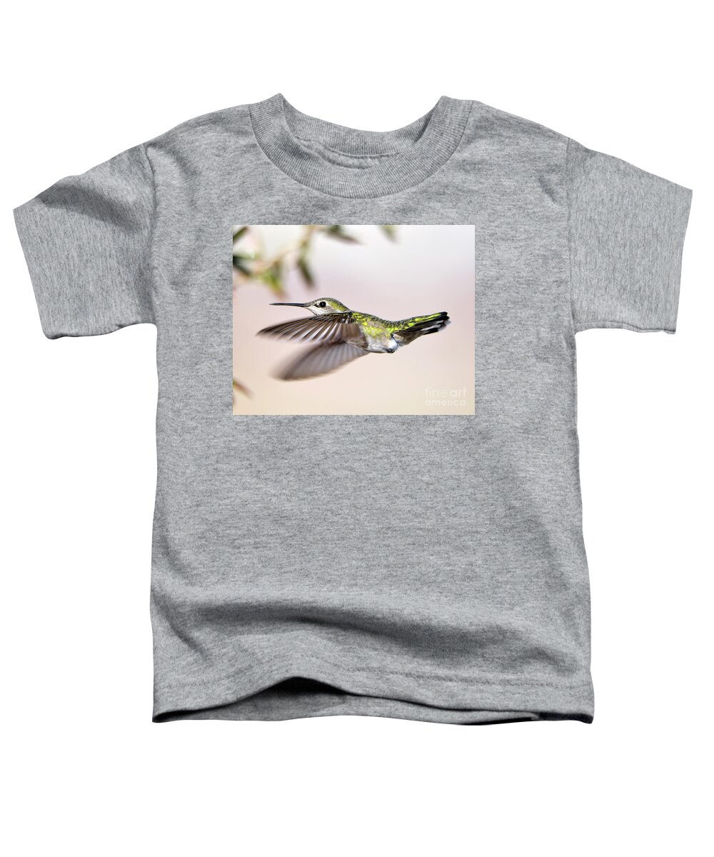 Denise Bruchman Photography Toddler T-Shirt featuring the photograph Flying Anna's Hummingbird by Denise Bruchman