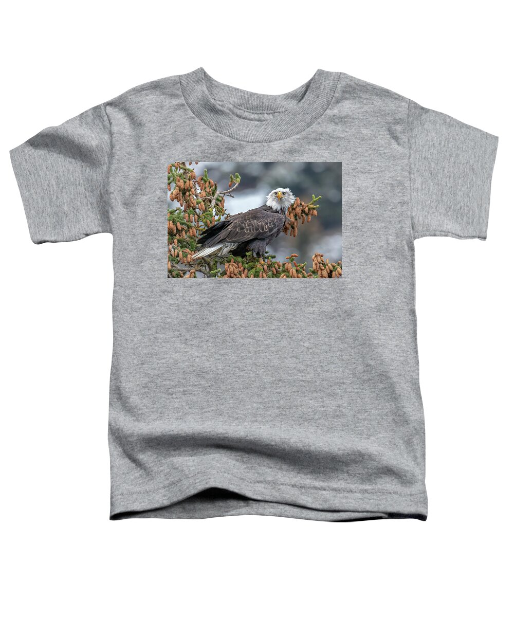 Alaska Toddler T-Shirt featuring the photograph Focused by James Capo