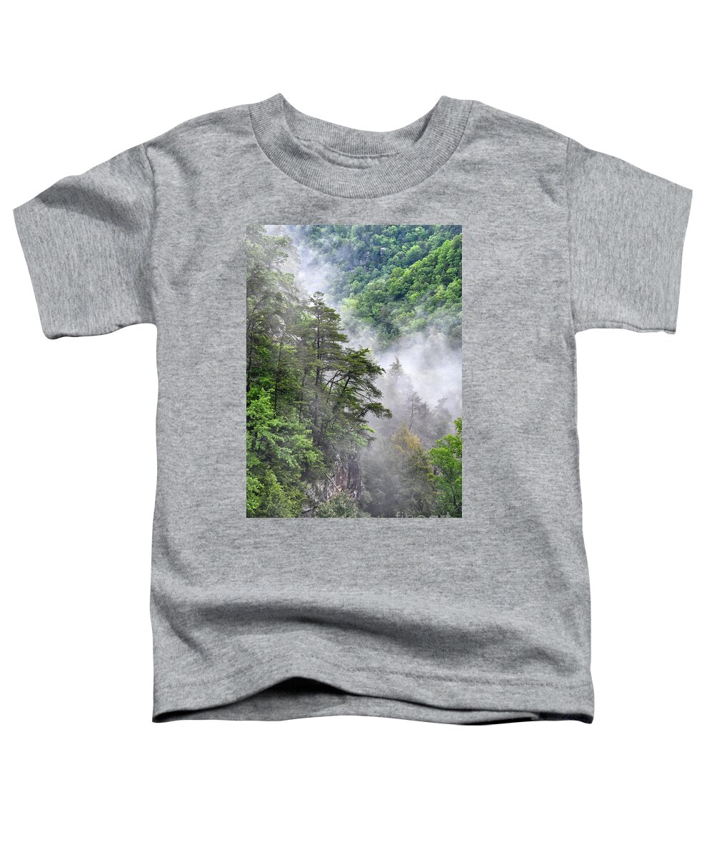 Fall Creek Falls Toddler T-Shirt featuring the photograph Fog In Valley 2 by Phil Perkins