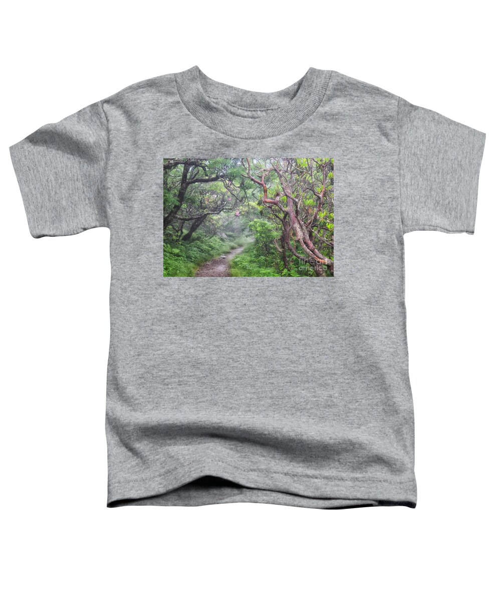 Craggy Gardens Toddler T-Shirt featuring the photograph Forest Fantasy by Blaine Owens