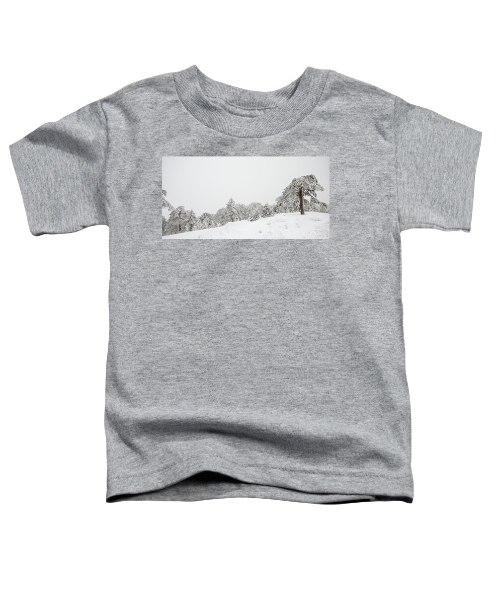 Snowstorm Toddler T-Shirt featuring the photograph Forest landscape in snowy mountains. Snowstorm and frozen snow covered fir trees in winter season. by Michalakis Ppalis