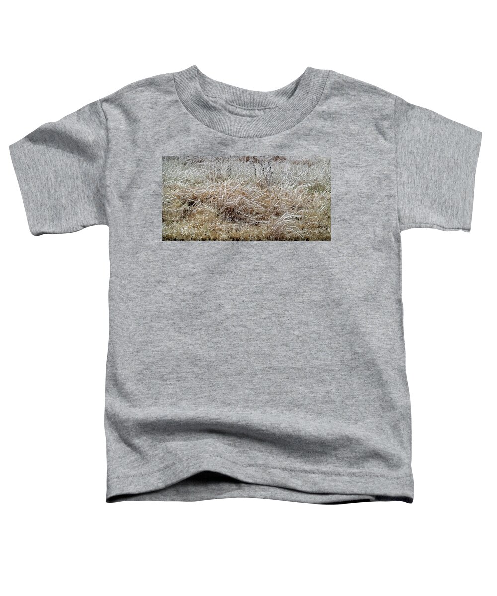 Fine Art Toddler T-Shirt featuring the photograph Fragile Grass by Robert Harris