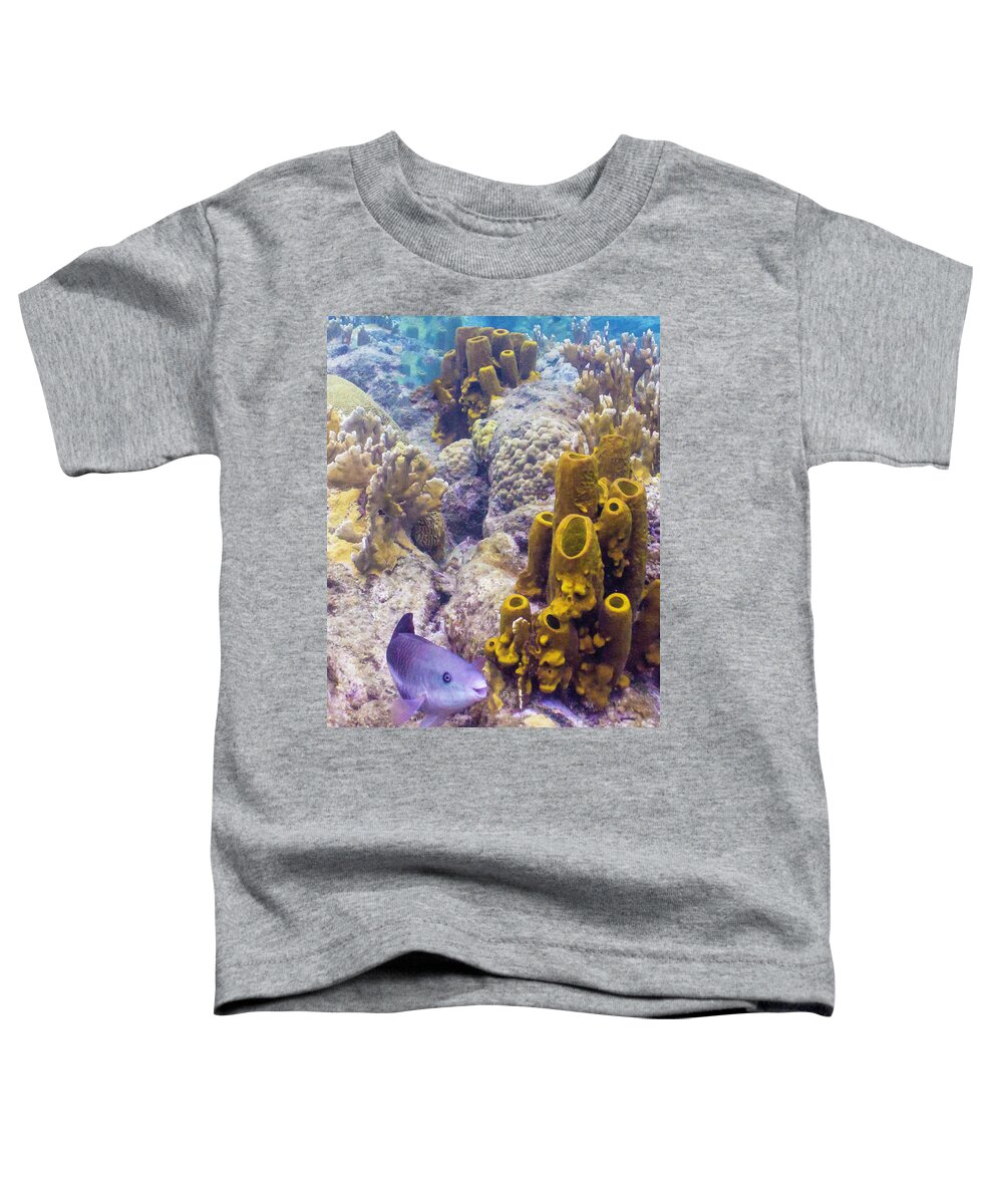 Ocean Toddler T-Shirt featuring the photograph Friendly Queen by Lynne Browne