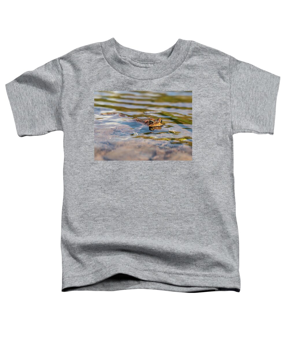 Frog Toddler T-Shirt featuring the photograph Frog in the Pond 2 by Amelia Pearn