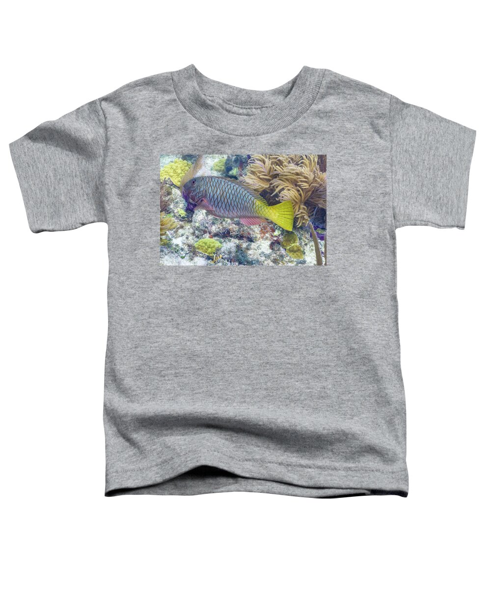 Fish Toddler T-Shirt featuring the photograph Fully Armored by Lynne Browne