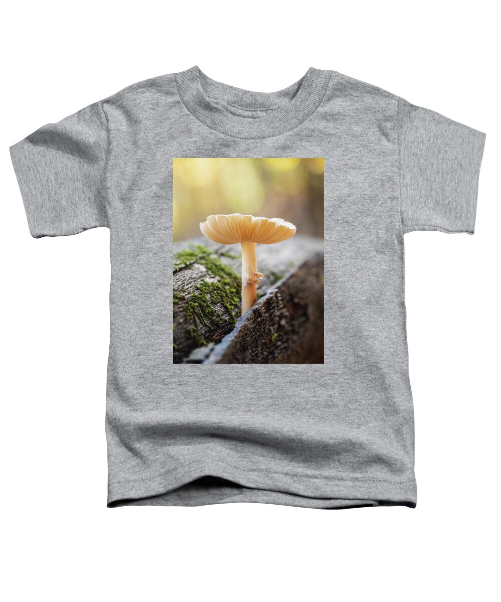 Fungus Toddler T-Shirt featuring the photograph Fun Guy Log by Grant Twiss
