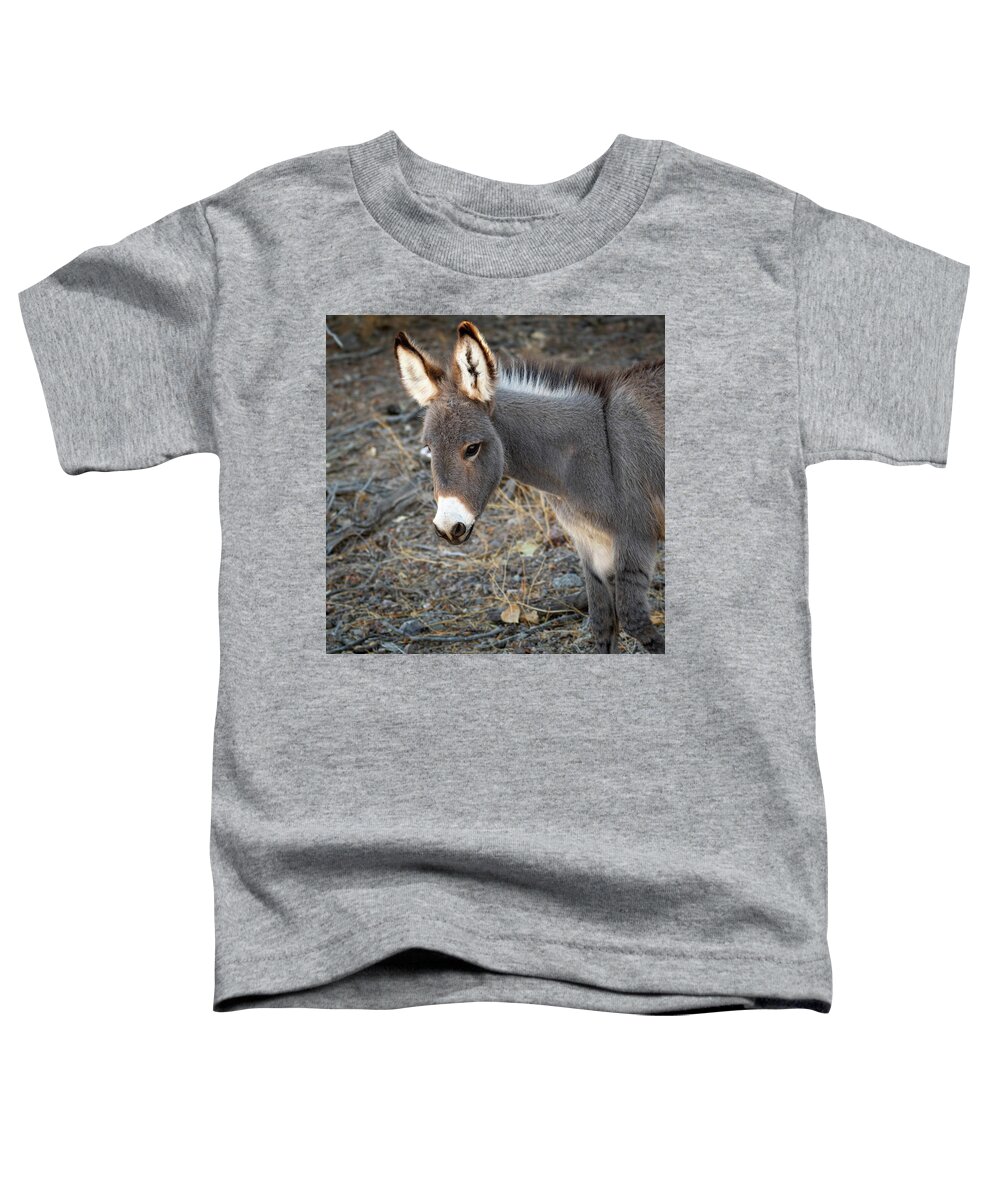 Wild Burros Toddler T-Shirt featuring the photograph Fuzzy Ears by Mary Hone
