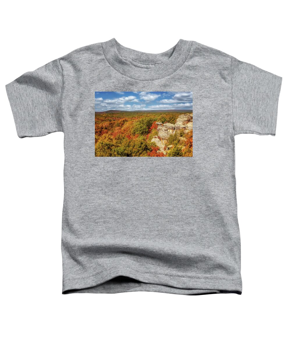 Garden Of The Gods Toddler T-Shirt featuring the photograph Garden of the Gods - Camel Rock by Susan Rissi Tregoning