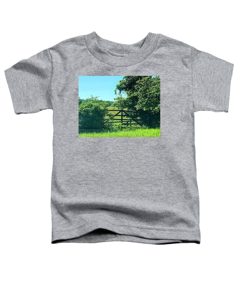  Toddler T-Shirt featuring the painting Gate by Anitra Boyt