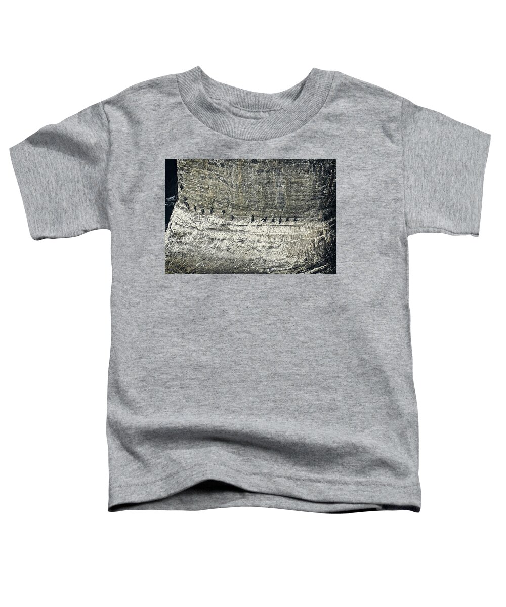 Barrier Toddler T-Shirt featuring the photograph Get Your Ducks In A Row by David Desautel