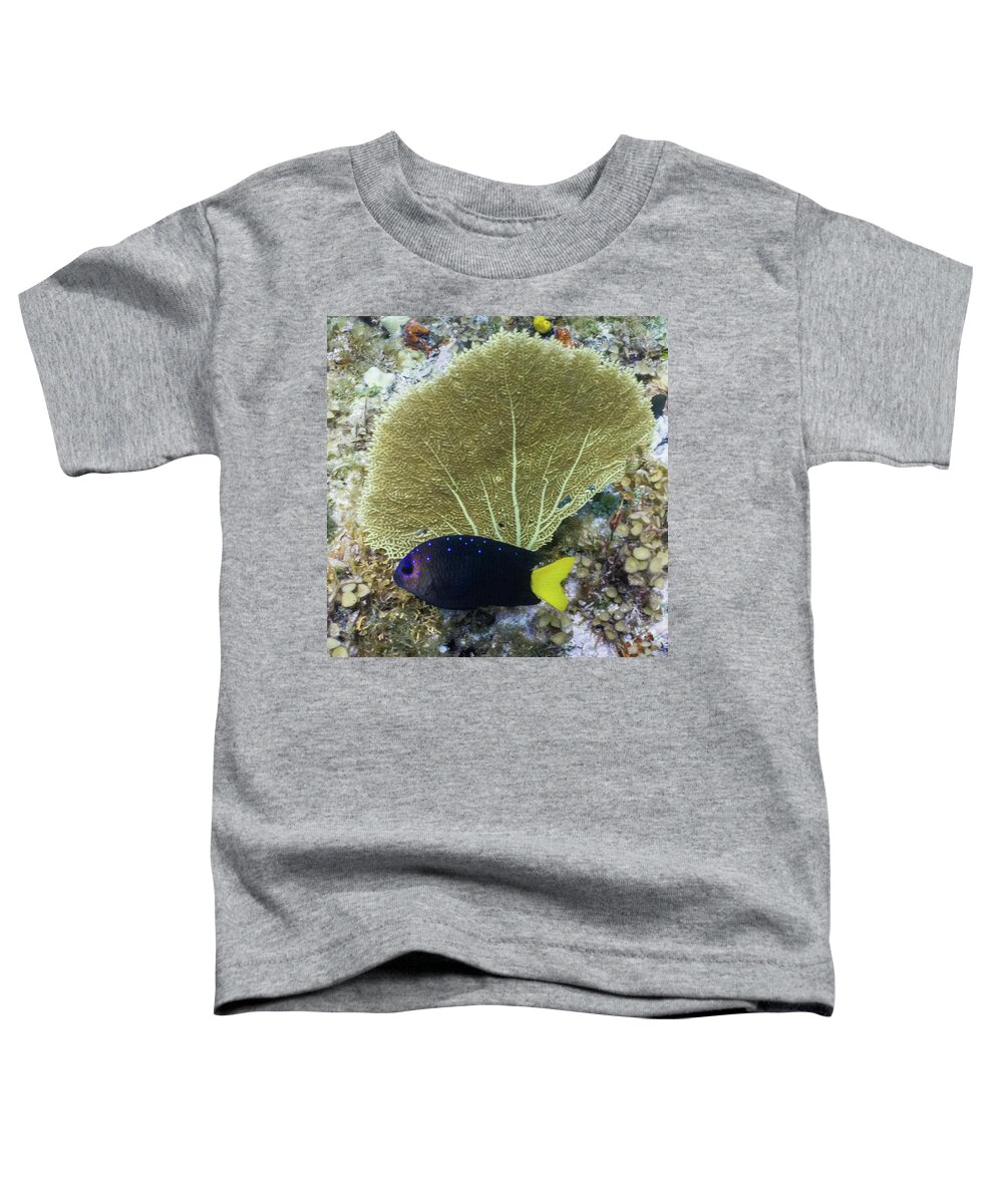 Animals Toddler T-Shirt featuring the photograph Go Gorgonian by Lynne Browne