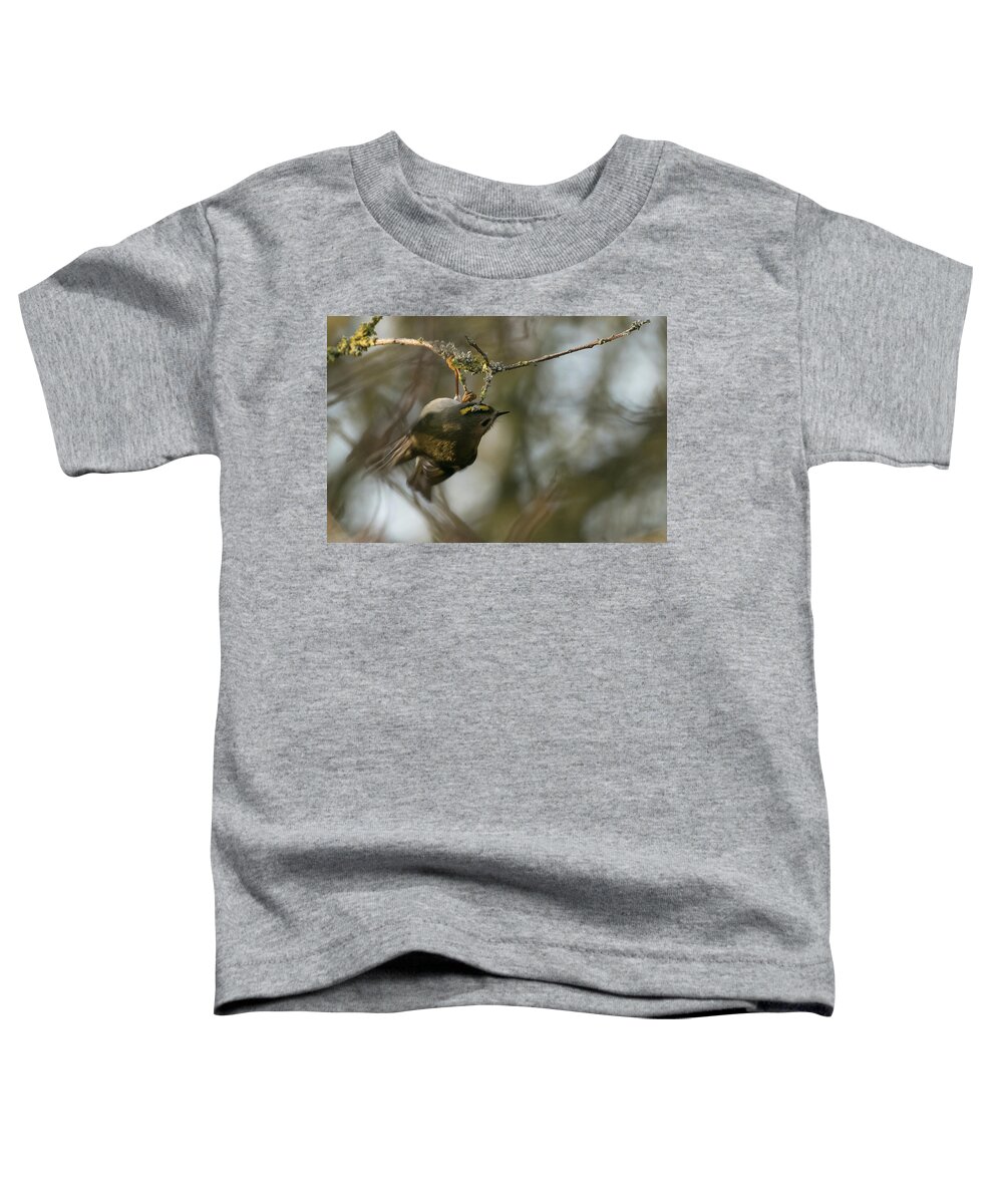 Goldcrest Toddler T-Shirt featuring the photograph Goldcrest Mid Fidget by Wendy Cooper