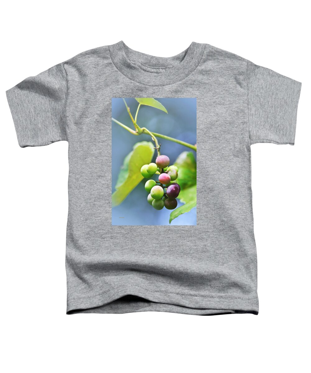 Grapes Toddler T-Shirt featuring the photograph Grapes On The Vine by Christina Rollo