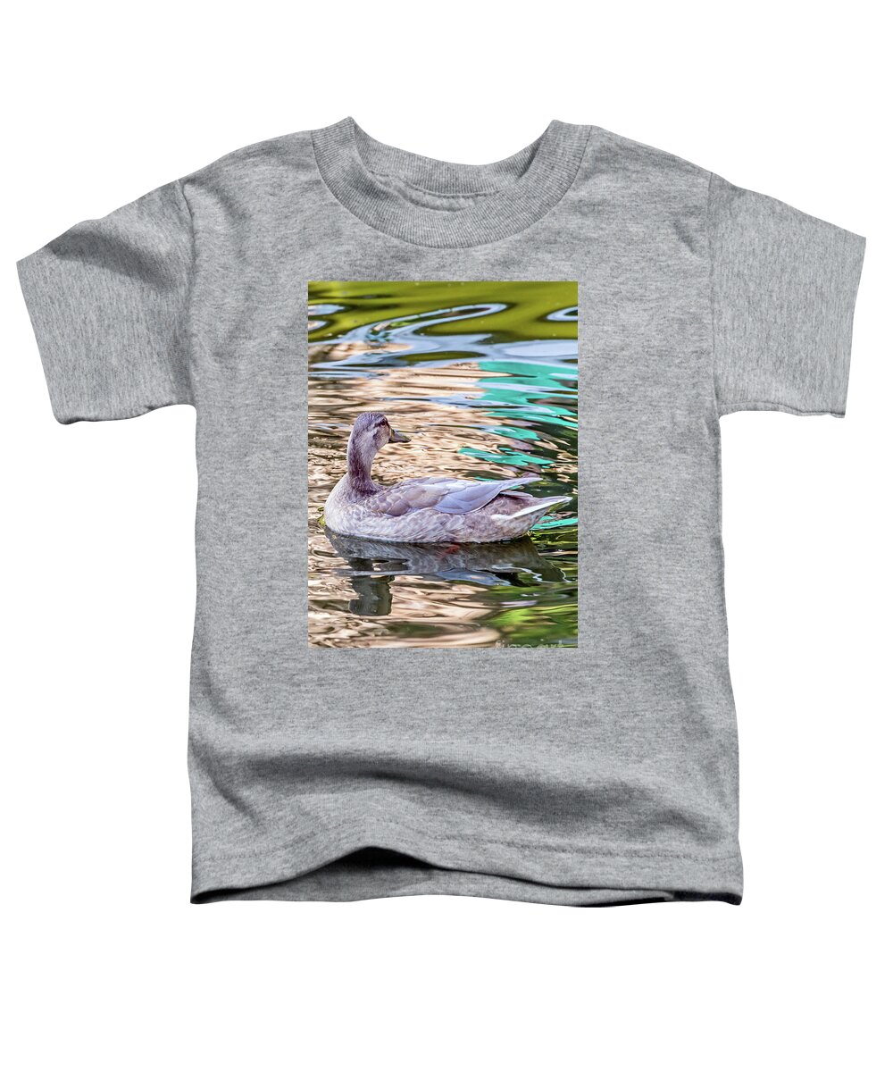 Bird Toddler T-Shirt featuring the photograph Gray Lady Rainbow by Kate Brown