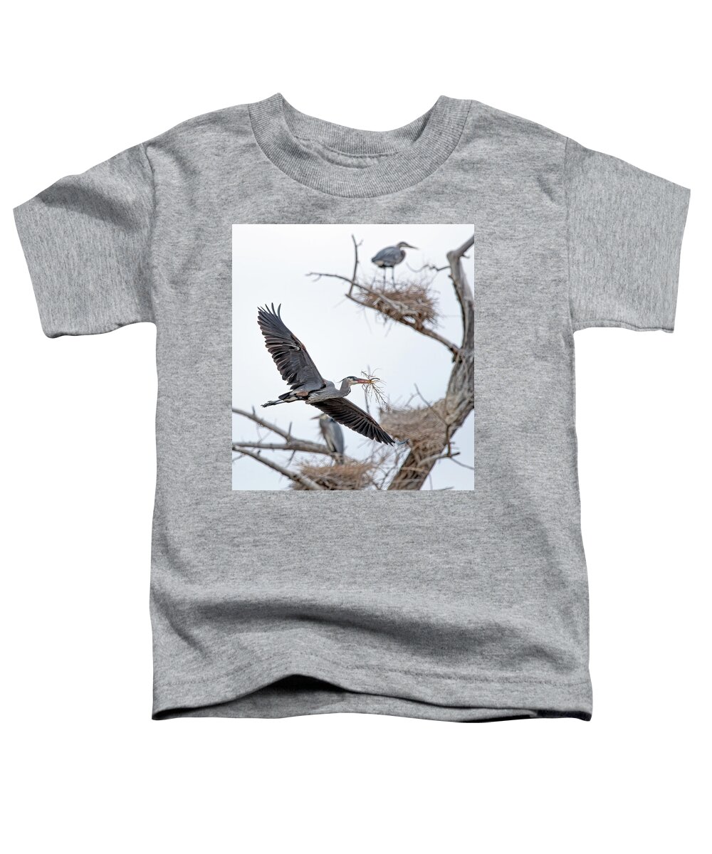 Stillwater Wildlife Refuge Toddler T-Shirt featuring the photograph Great Blue Heron 4 by Rick Mosher