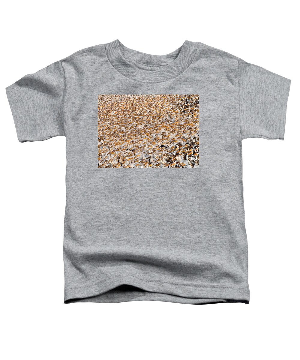 80167589 Toddler T-Shirt featuring the photograph Great White Pelican Flock by Yossi Eshbol