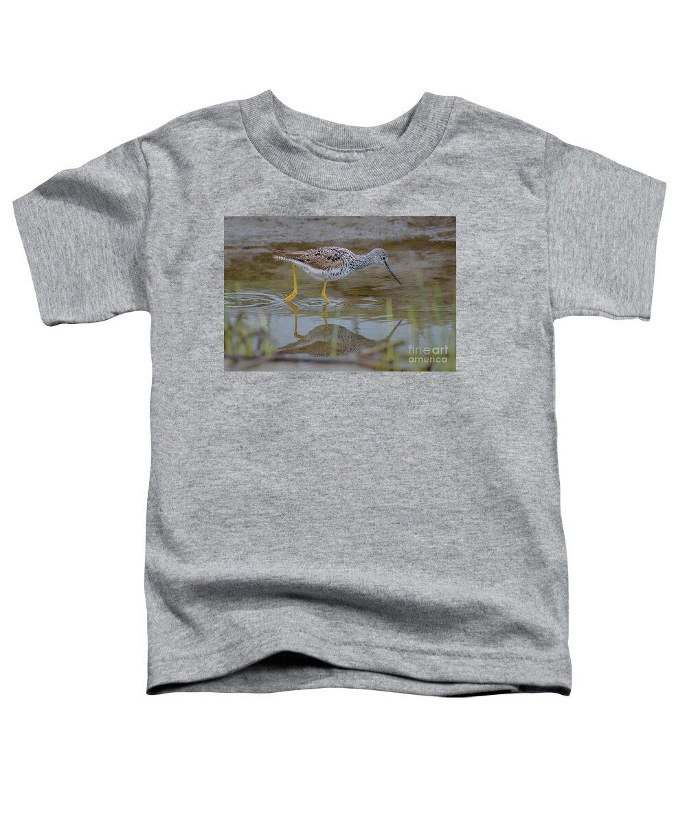 Greater Yellowlegs Toddler T-Shirt featuring the photograph Greater Yellowlegs Searching for Food at Skagit Delta by Nancy Gleason
