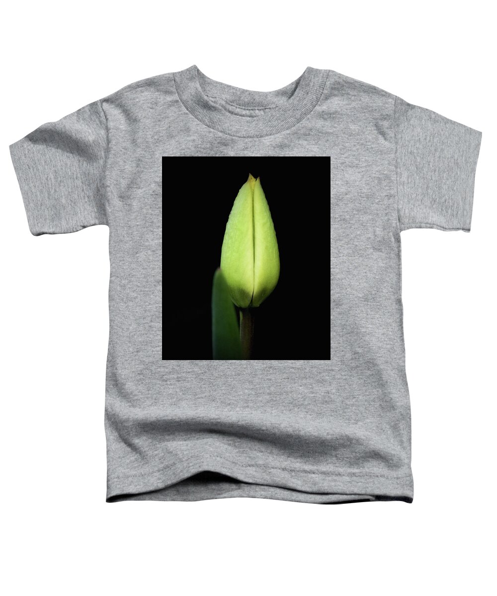 Tulip Toddler T-Shirt featuring the photograph Green Immortality by Norma A Lahens