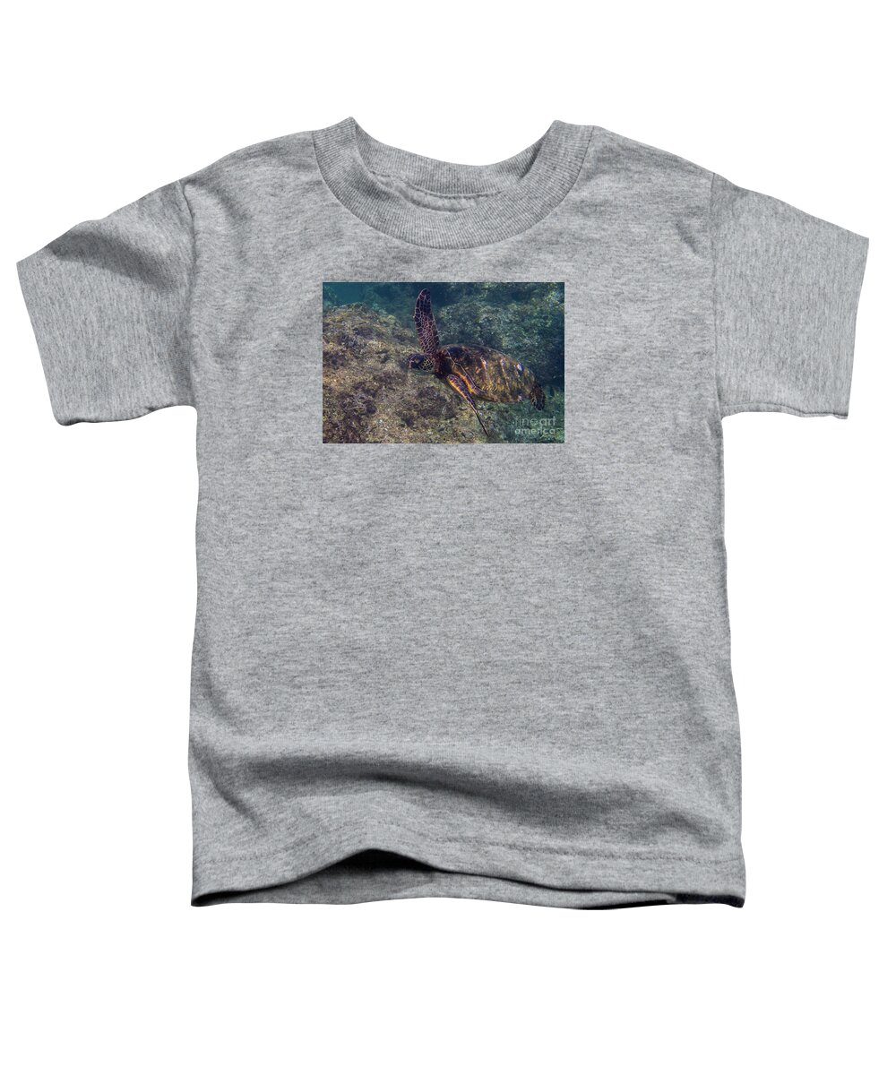 Green Sea Turtle Toddler T-Shirt featuring the photograph Green Sea Turtle in a Rocky Reef by Nancy Gleason