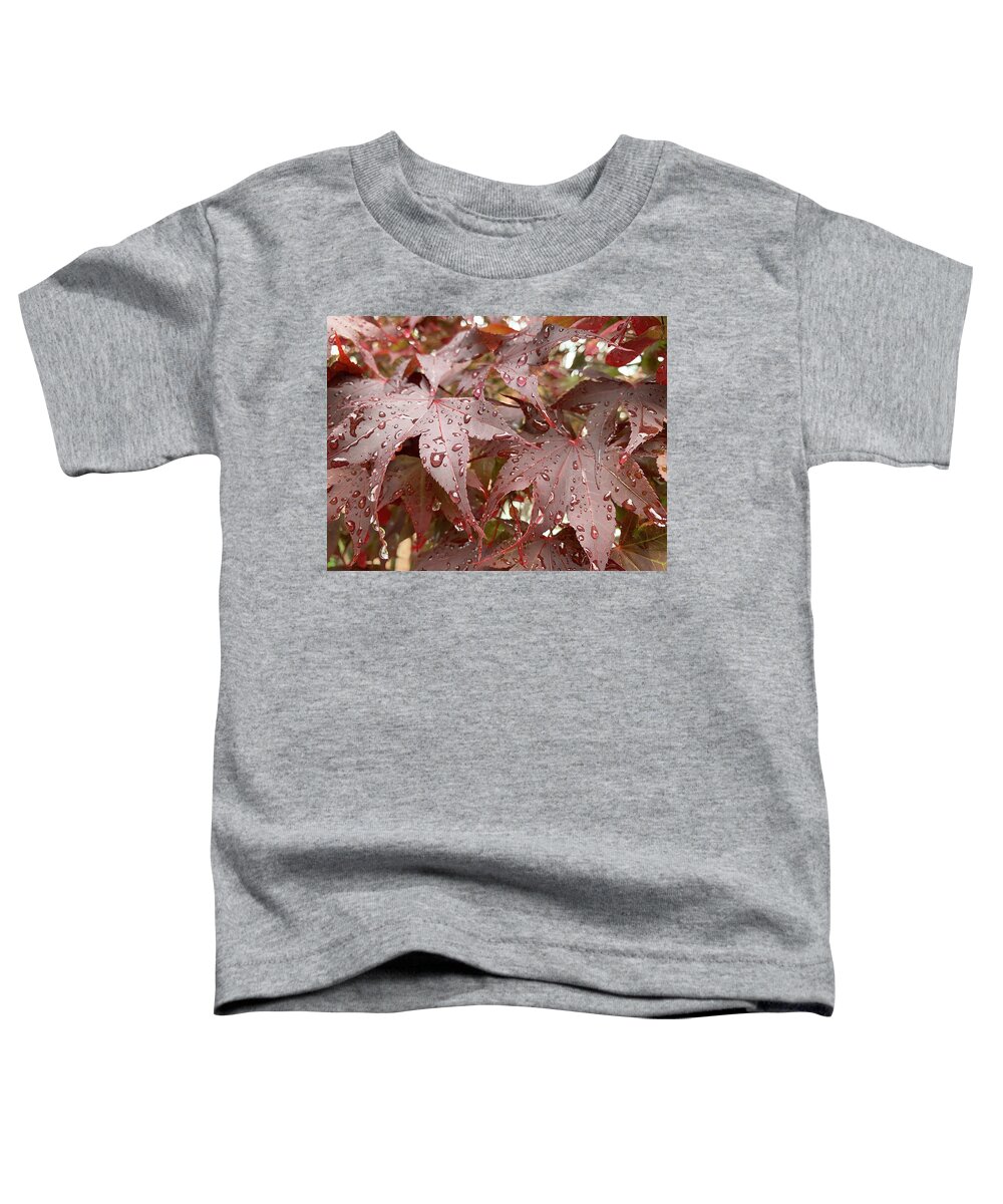 Leaf Toddler T-Shirt featuring the photograph Happy Leaves by Lee Darnell