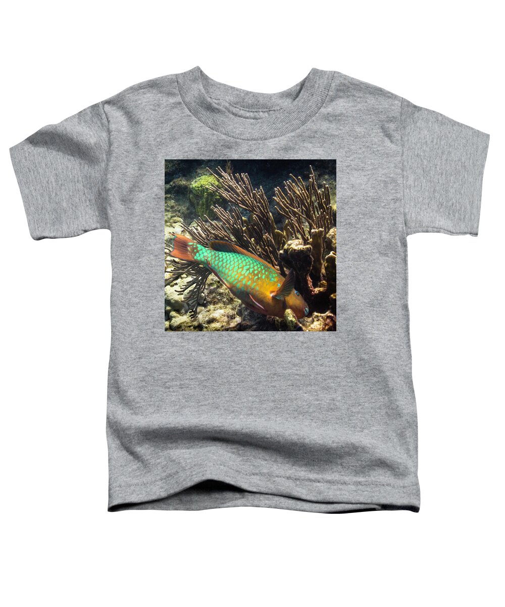 Ocean Toddler T-Shirt featuring the photograph Heading In by Lynne Browne