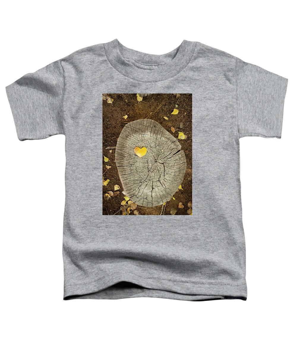 Still Life Toddler T-Shirt featuring the photograph Heart Wood by Mary Lee Dereske