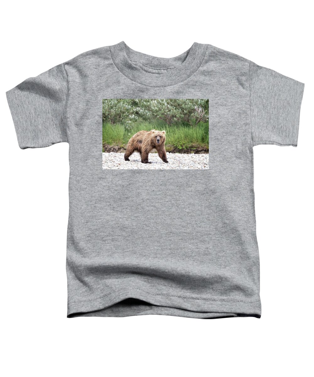 Alaska Toddler T-Shirt featuring the photograph HI There Bear by Cheryl Strahl