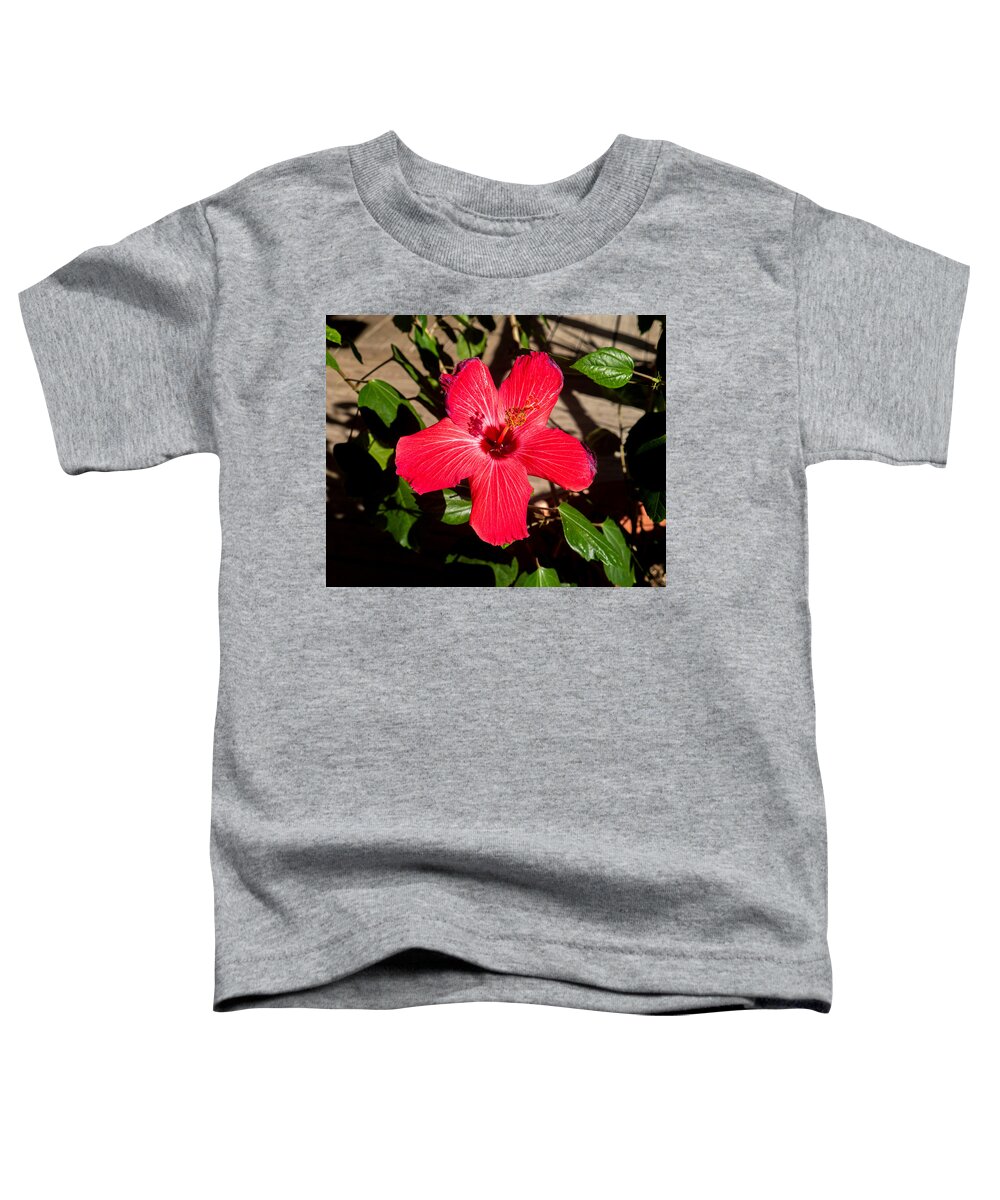 Flower Toddler T-Shirt featuring the photograph Hibiscus Blossom by Ivars Vilums