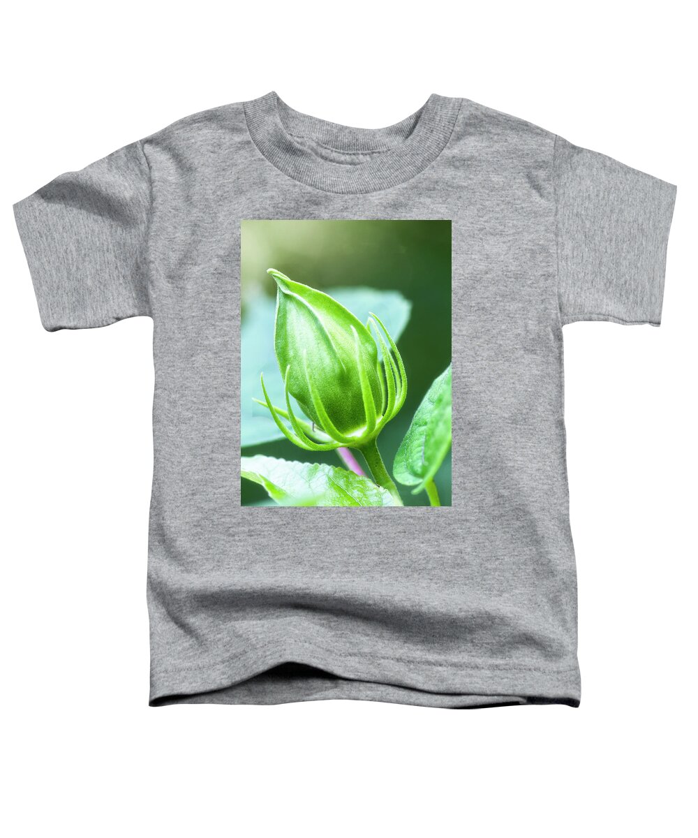 Hibiscus Bud Toddler T-Shirt featuring the photograph Hibiscus Flower Bud in the Croatan National Forest by Bob Decker