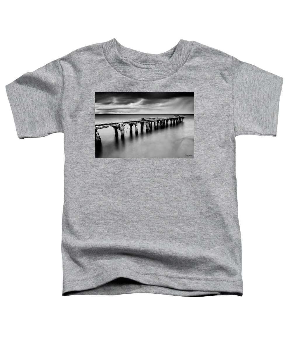 Maui Toddler T-Shirt featuring the photograph Hurricane Survivor In Black and White by Gary Johnson