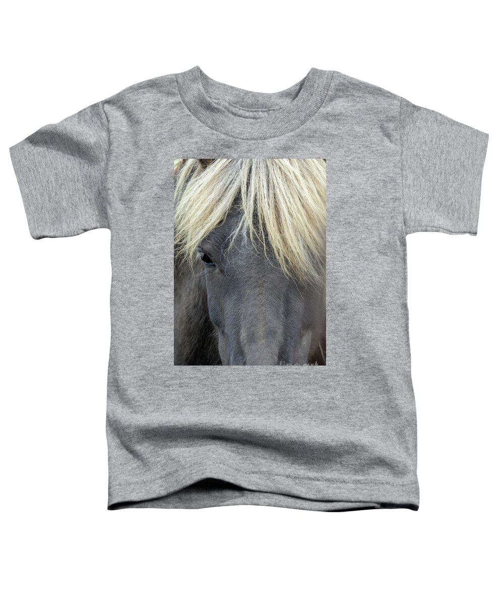 Horse Toddler T-Shirt featuring the photograph Icelandic horse portrait by Delphimages Photo Creations