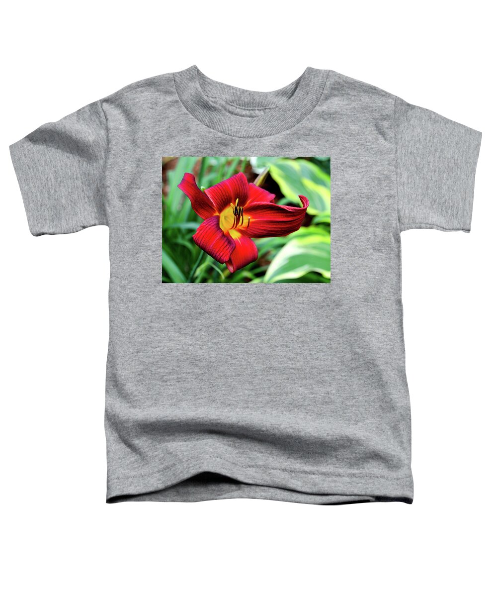Red Lily Toddler T-Shirt featuring the photograph July Day Lily by Susie Loechler